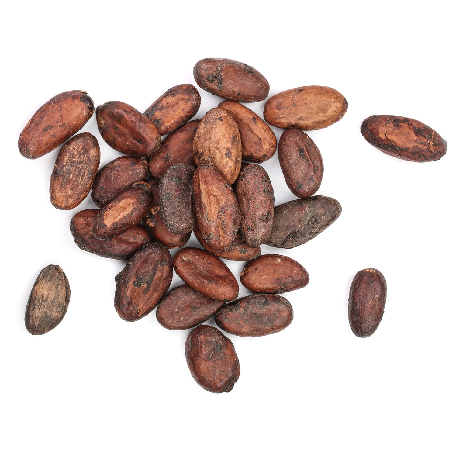 Organic Cacao Beans Seeds