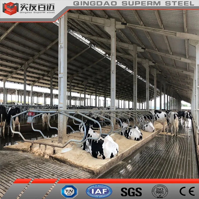 Live Cattle Dairy Farm Shed 1000 Sq Ft Animal Sheds 10000 Sq Ft Animal Goat Shed At Wholesale Rate