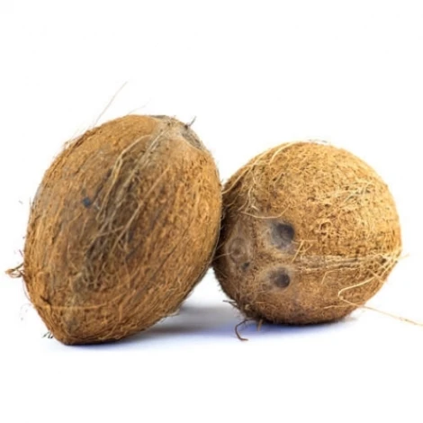 Pure Organic full and semi husked Coconut/Fresh Tender Coconut private label export best price sale