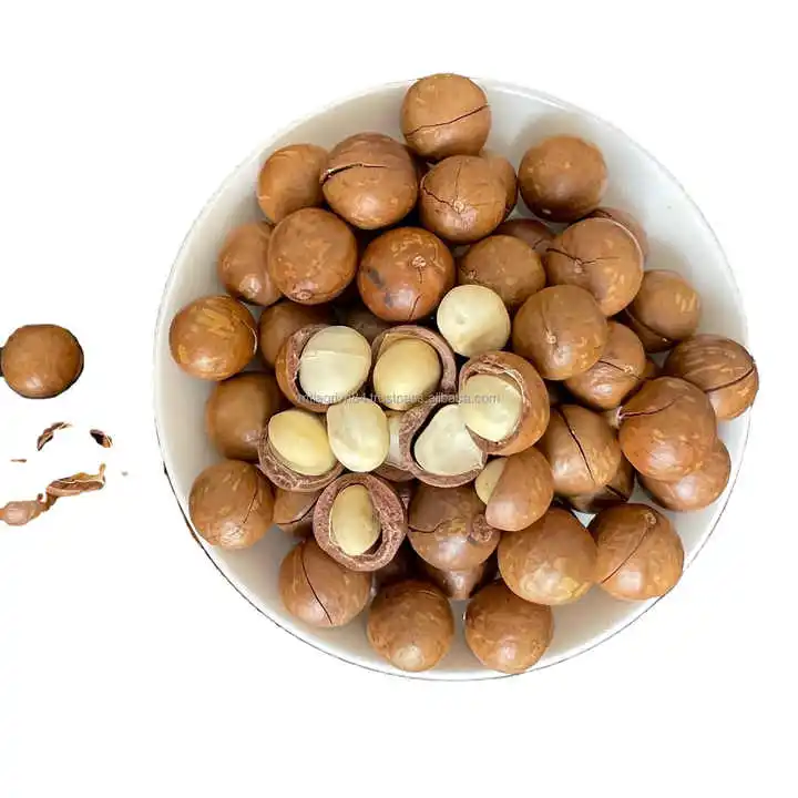 Орехи макадамия-жареная макадамия-органические орехи макадамия