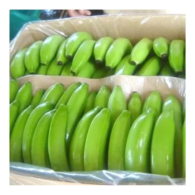 Hot Sale Export Quality Standard Fresh Cavendish Banana With High Quality Common Cultivation Natural Bananas From Vietnam