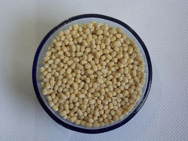 Indian Grade Urad Dhal Whole Top Selling Natural Organic Urad Dhal Whole Manufacturer From India