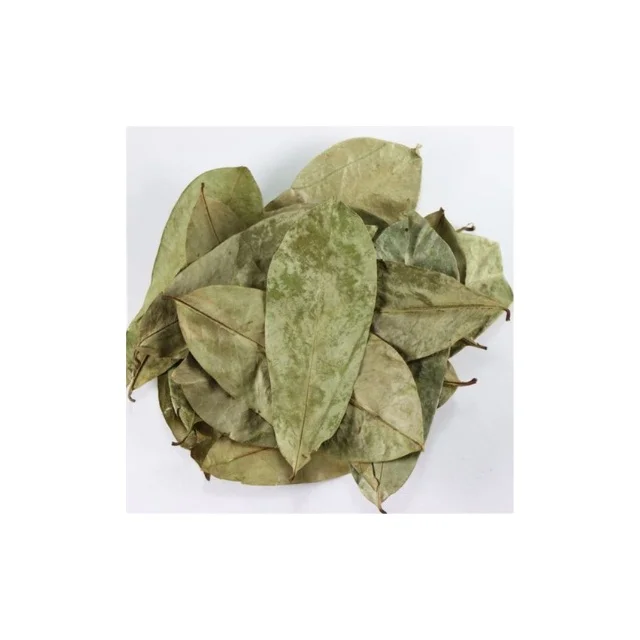 Популярная тенденция SOURSOP лист чая листья сушеные для продажи/сушеные высокого качества и по лучшей цене