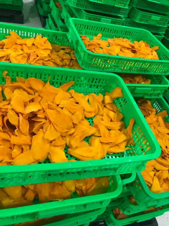 LOW PRICE WHOLE SALE DRIED MANGO SOFT From Vietnam Good for Body Exporting Delicious Sweet Bulk Style 2024