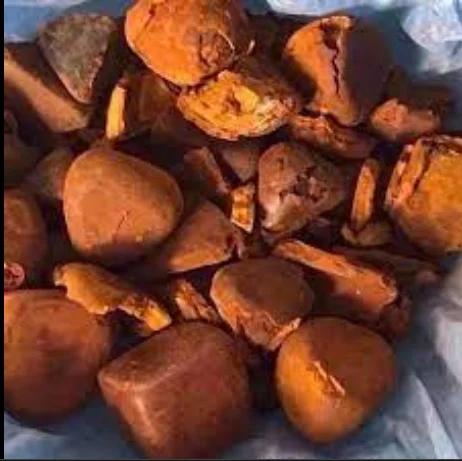 Желчные камни Ox/Cow с желчным пузырьком 100% цельных камней в наличии купить желтые из бычьего желоба по низкой цене