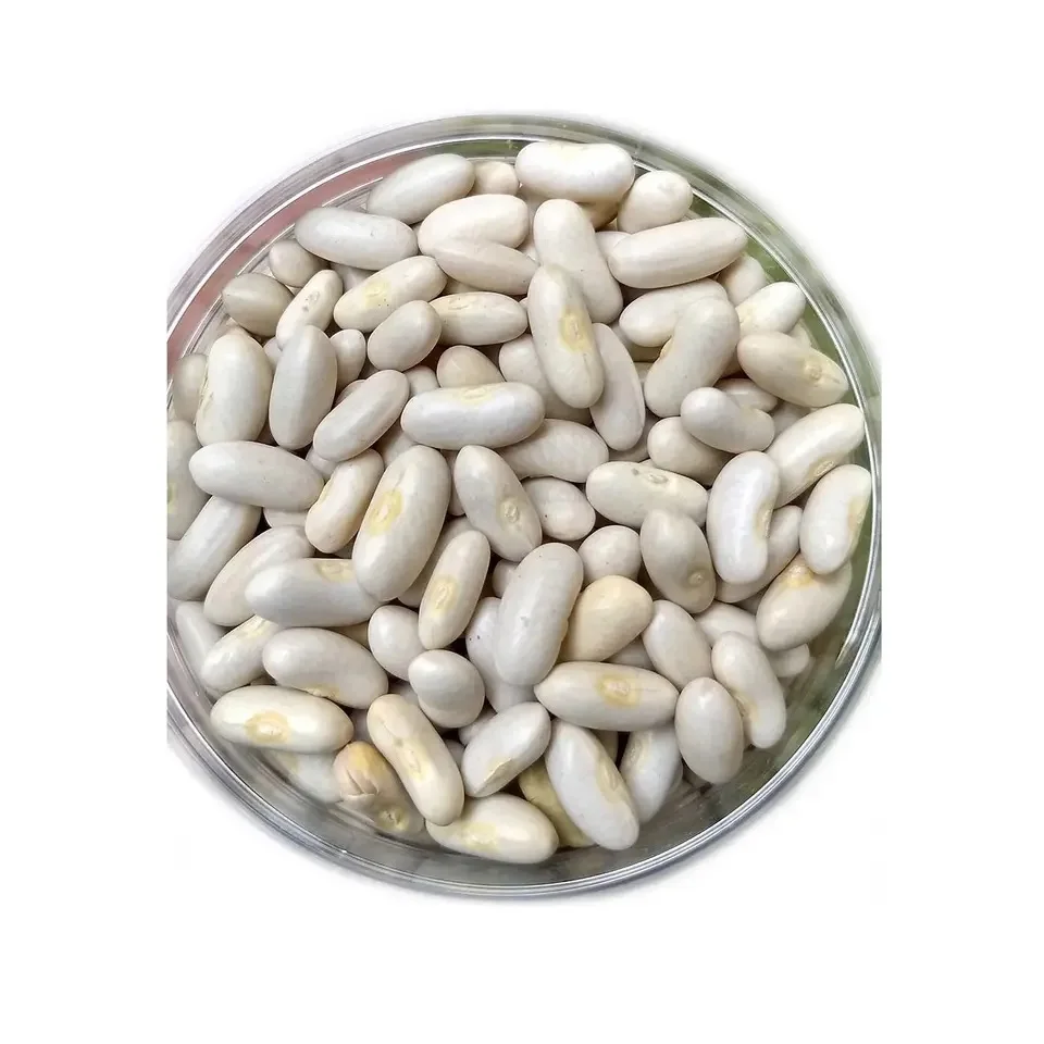 Buy High quality 100% natural white kidney beans 200-220  for export/ best quality white Kidney Beans