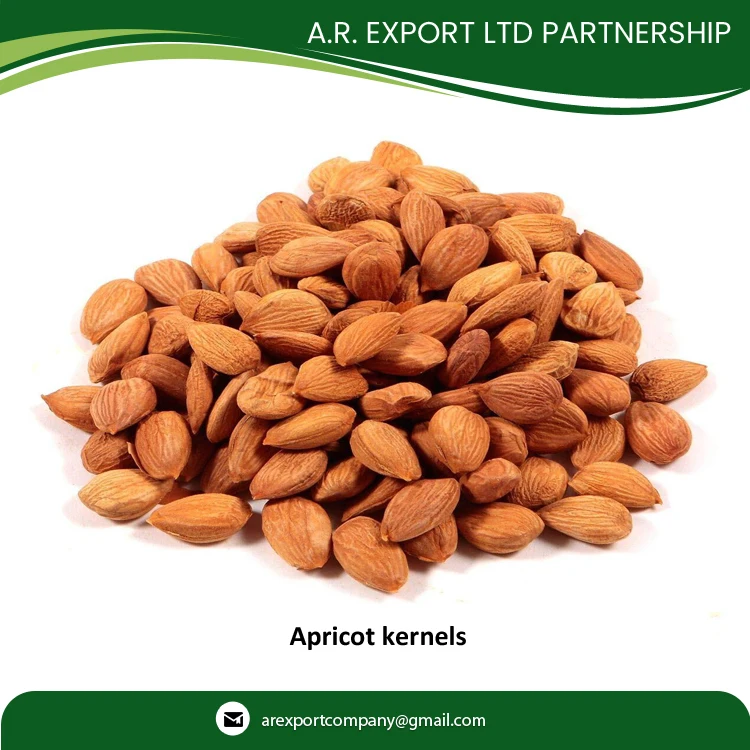 Сертифицированное качество оптовая продажа сушеные ядра абрикоса по лучшей цене доступны в экспортной качественной
