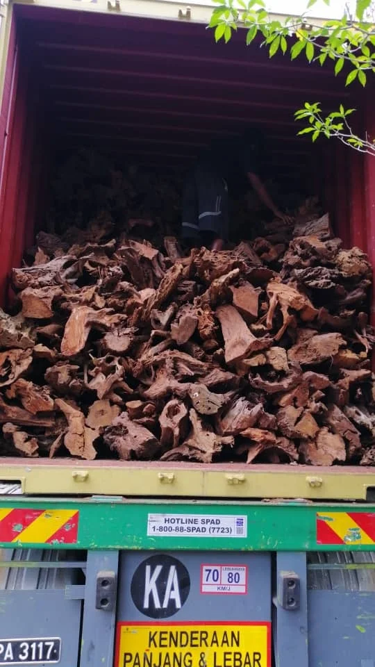 New Arrival Pet Products Tank Decoration Driftwood Wooden Furniture Mangrove Aquascape Terrarium Origin Pet Products