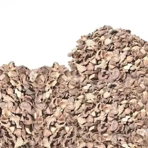 Factory price for Palm kernel shell suppliers