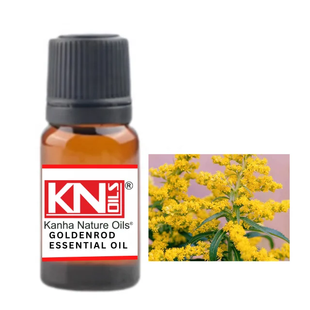 Buy Bulk Wholesale price GOLDENROD ESSENTIAL OIL from india largest manufacture kanha nature oils
