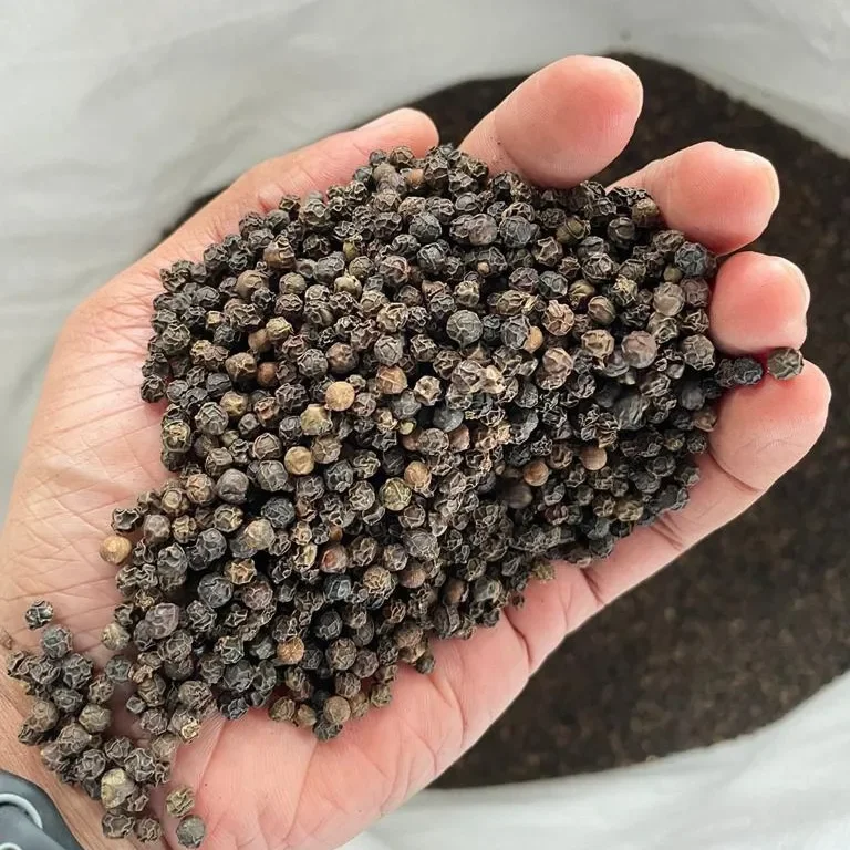 Export Quality Black Pepper..500g/l...550g/l