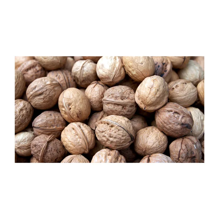 Best Quality Walnuts For Sale In Cheap Price