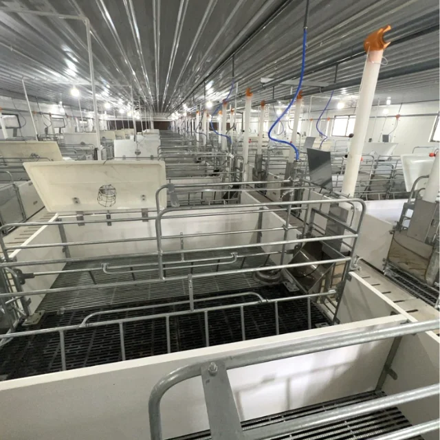 Good farrowing cage for pigs Stainless Steel   Vietnamese Manufacturer Top Selling   pig farrowing barn