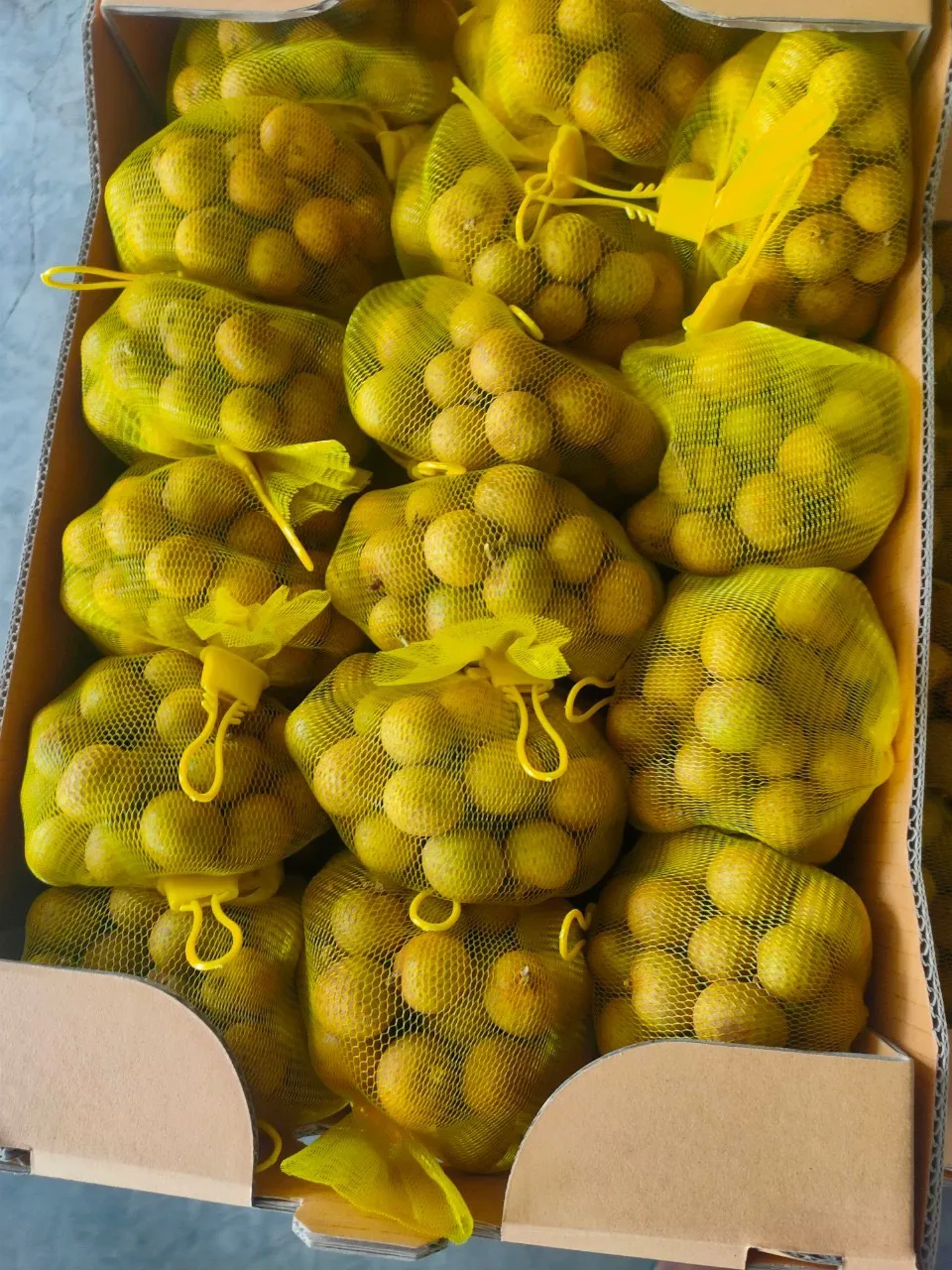 100% свежие вкусные съедобные прямые круглые фруктовые фрукты longan VIDA на заказ из
