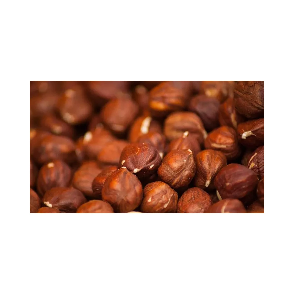 Natural Taste Quality Blanched Hazelnut/Hazel Nut at Low Price