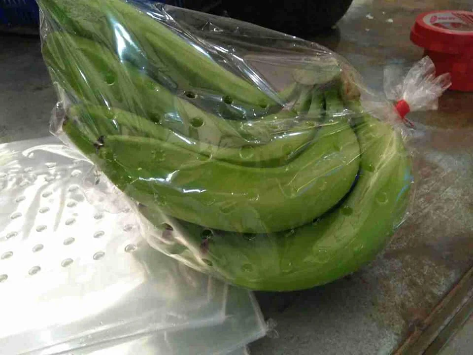 Premium Fresh Bananas, Sweet and Natural, Ideal for Snacking and Cooking, High-Quality Fruit, Bulk Orders Available, Authentic