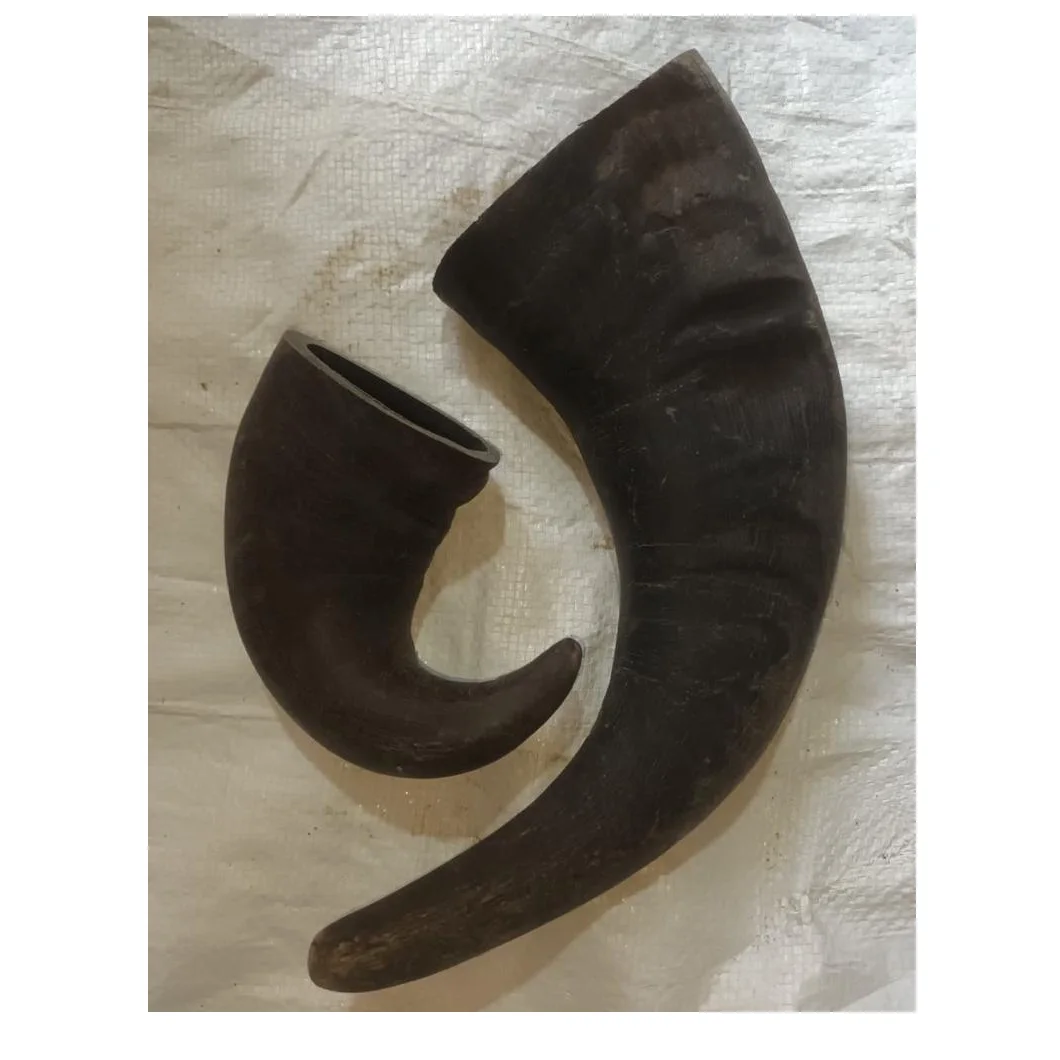 High Protein Bag Top Selling Natural Water Buffalo Horn Dog Chews Silver Craft Manufacturer Exporter Beef Chicken Taste Treats