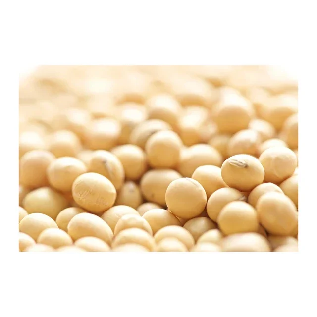 Factory Supply Soybean/Soy Bean/Soya Bean Meal With High Protein