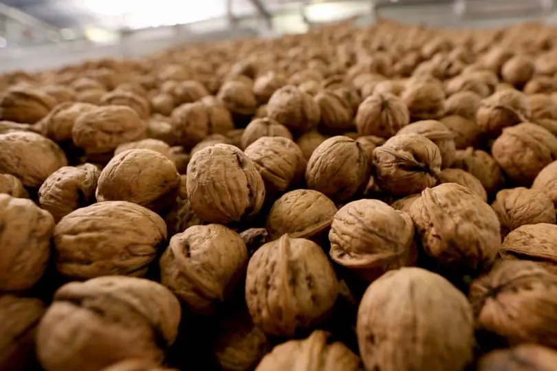 walnuts-810x540.jpg
