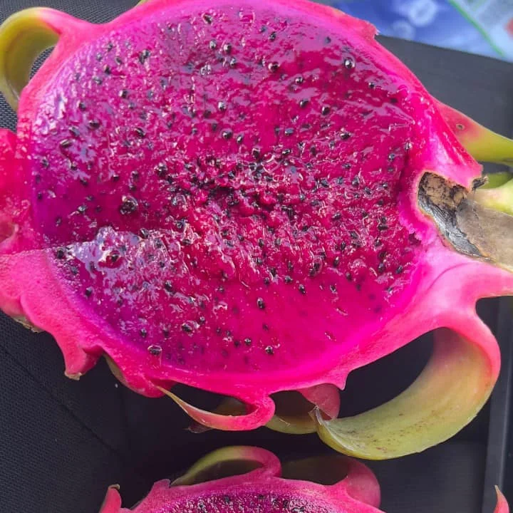 Red A Grade Dragon Fruits Supplier manufacturer Dragon Fruit Red Flesh Live  Organic Fresh Flesh Dragon Fruit