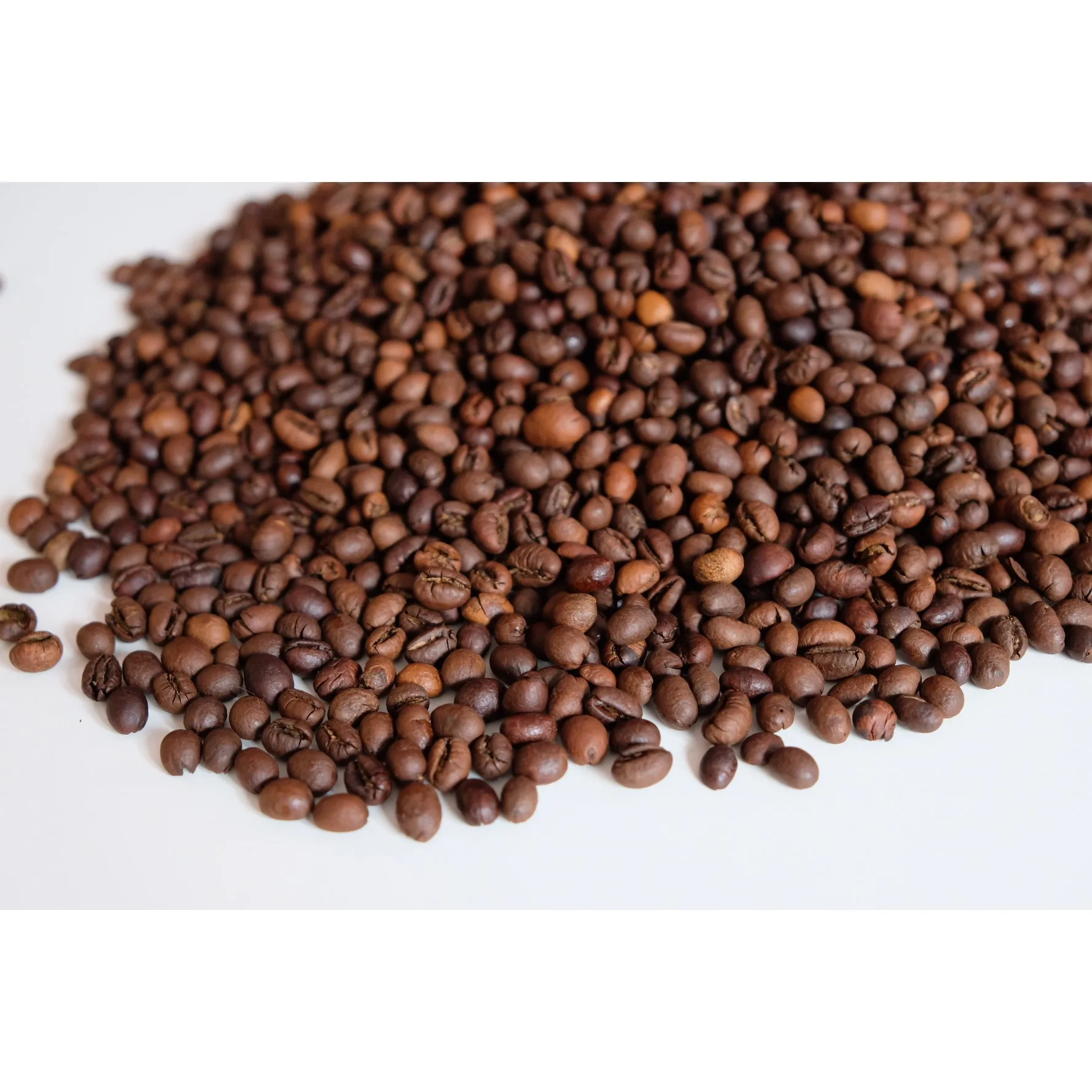 Premium Quality Culi S16 Roasted Carpentry Coffee Beans Culi Roasted Beans High Quality Coffee