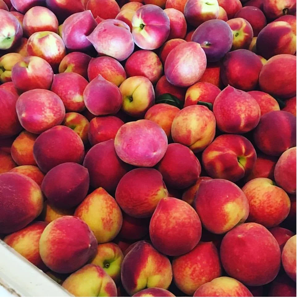 peaches fruit Fresh Peaches