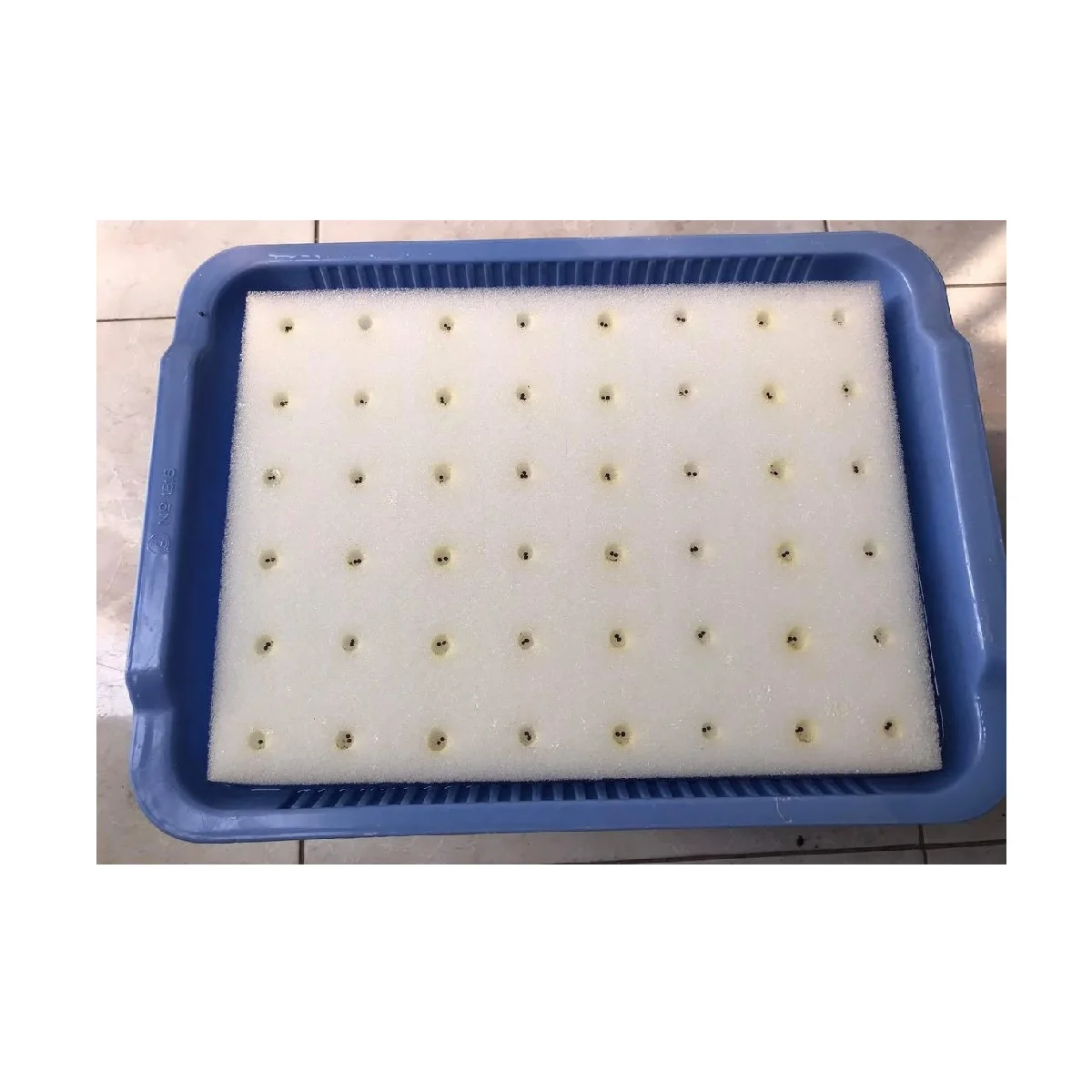Microgreens Growing System Indoor White Technology Manufacturing Greenhouse Hydroponic Growing System PVC Channel Pipe Vietnam