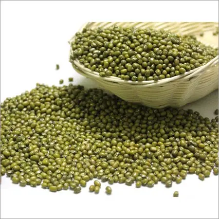 Top quality Green Grams  Vigna Beans in wholesale