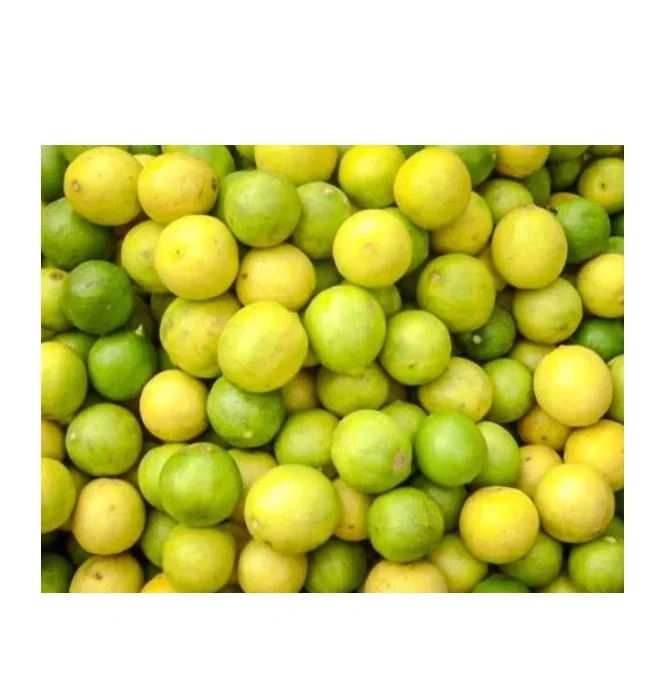 Manufacturer New Crop yellow lemon Fresh Lemon