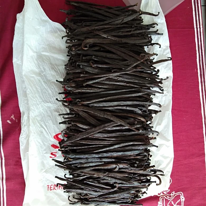 Vanilla tahiti or planifolia Grade 1