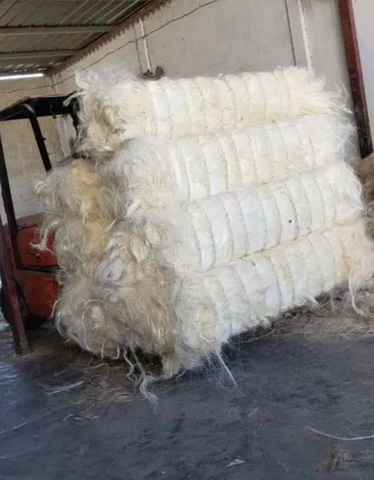 wholesale 100% natural Sisal Fibre / Sisal Hemp - natural sisal fiber roll /  Sisal Fiber Products at Factory Prices |
