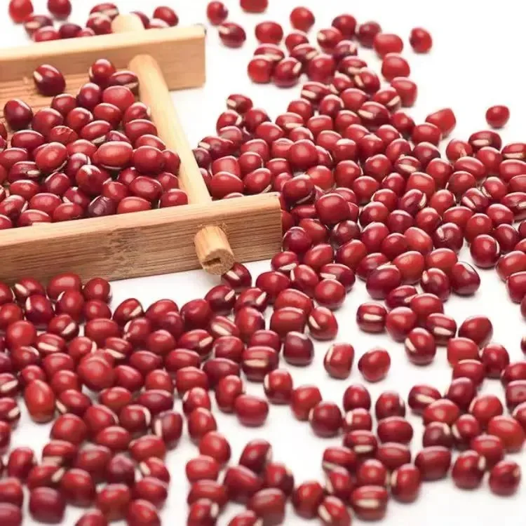 Mung Bean Fiber для продажи