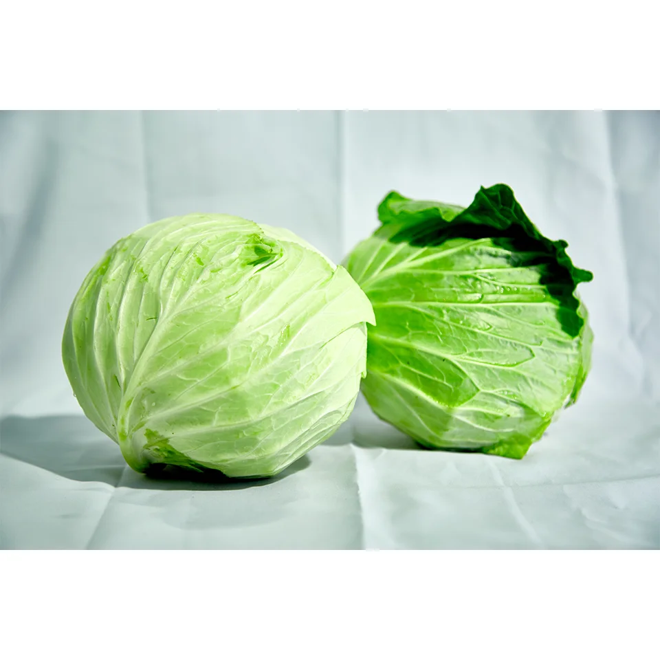 Fresh Vegetables Fresh Cabagle and Tomato  From Wholesale Green Farmer In Vietnam High Quality Nutrition Food