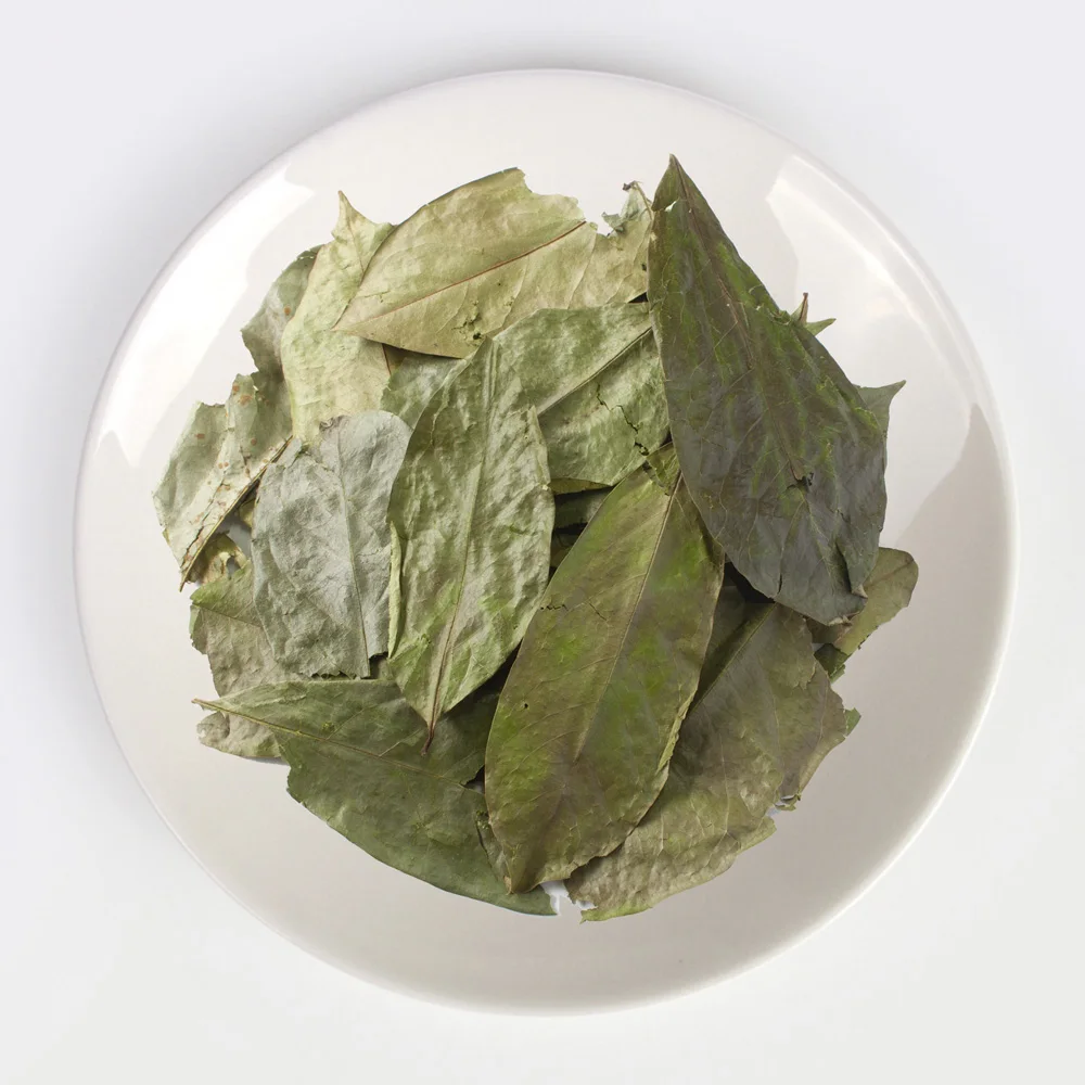 Soursop Leaves