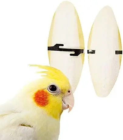 buy wholesale Bird Cuttlebone for Parakeets, Cuddle Bone with Metal Holder, Cuttlefish Bone for Sharp Beaks