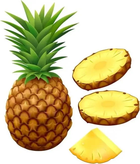 Top Selling Fresh Pineapples High Quality Sweet and Yellow Flesh Pineapple from Vietnam with Good Price