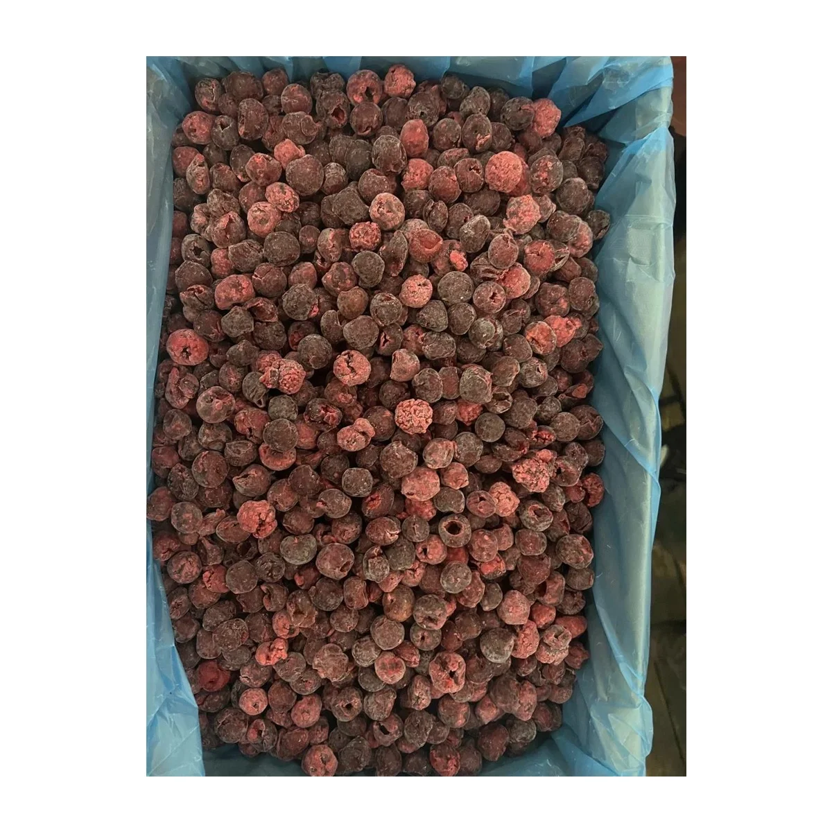 High quality IQF 10 kg frozen berries from Uzbekistan IQF Frozen sour pitted cherry in carton boxes for food