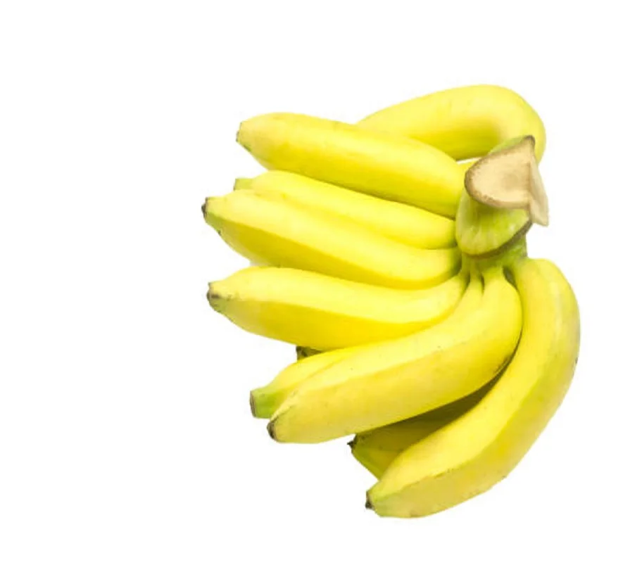 Fresh  Cavendish Tropical Banana For Sale