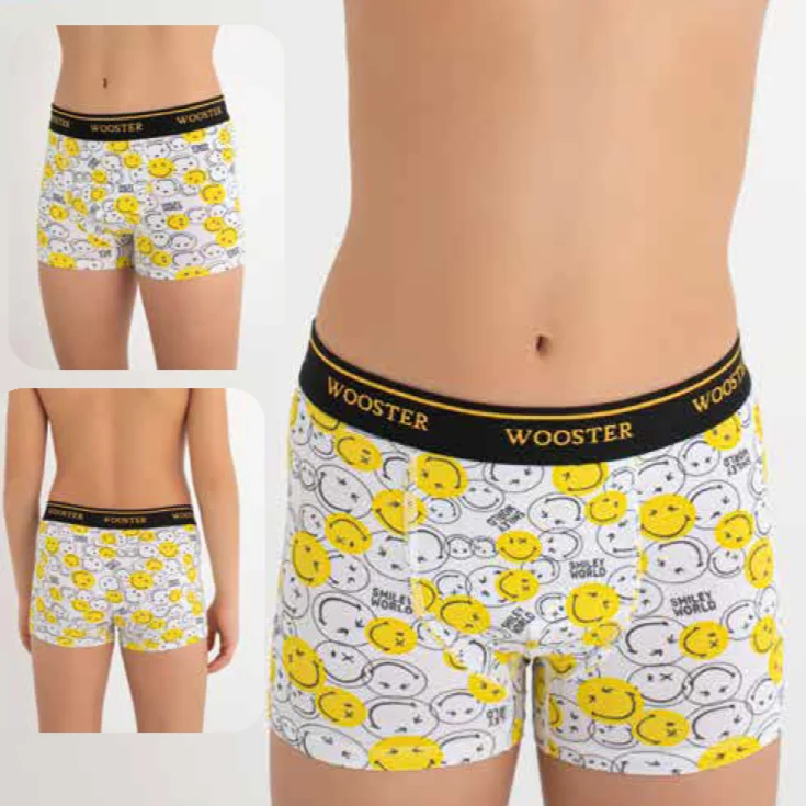 High Quality Kids Wooster-807 Underwear Boys Classic Printed Cotton Stretch Boxers Briefs Shorts Durable Comfortable Cotton Kids