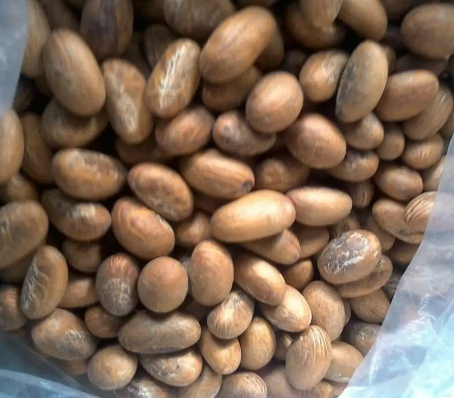 Premium Grade Light White Garcinia Bitter Kola