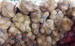 Vietnam semi husk dried coconut/ Mature Coconut Nut/Fully husk Coconut cheap price - Ms Kathy