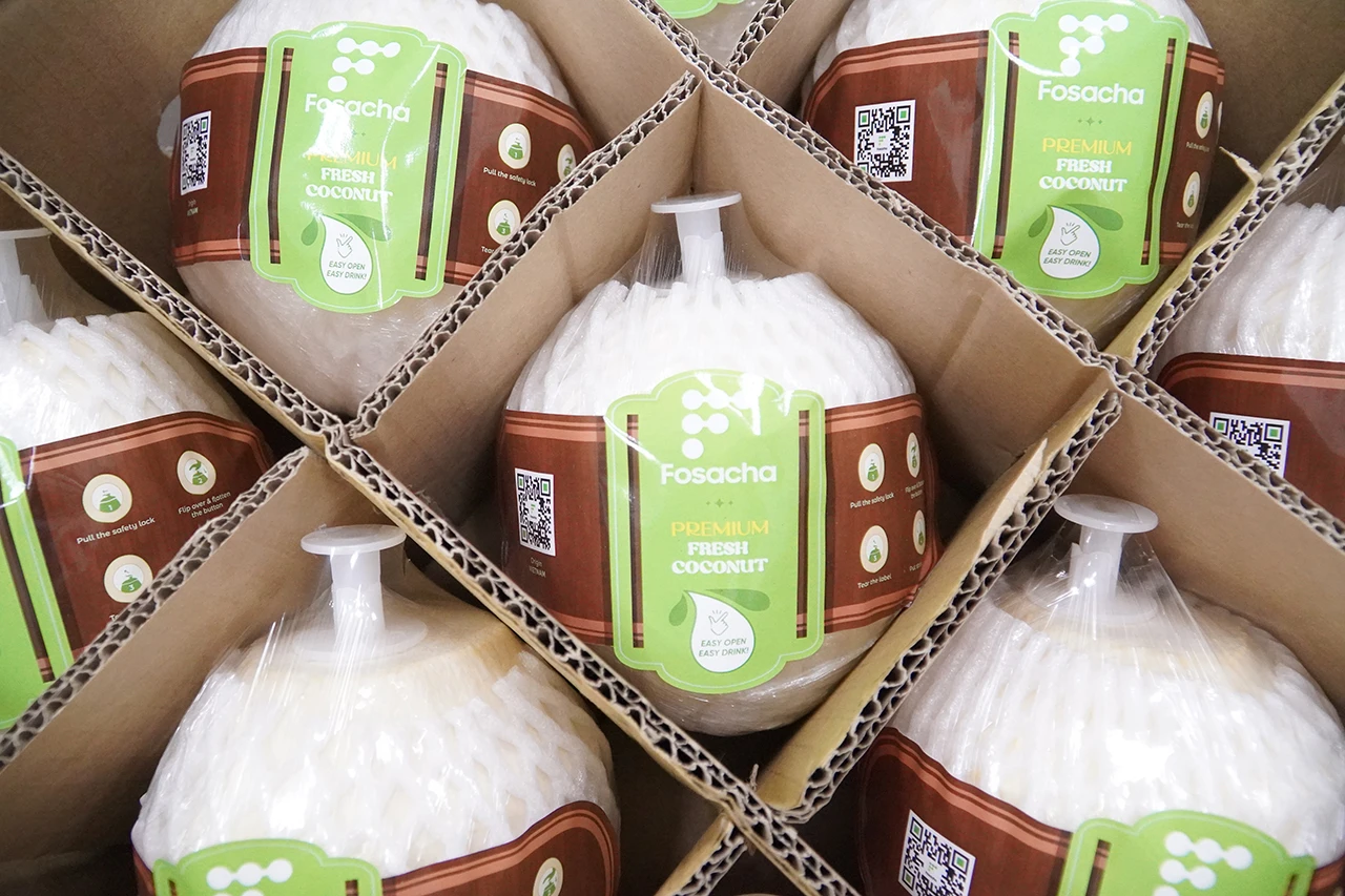 2023 HOT SELLING VIETNAM HARVESTED FRESH ORGANIC COCONUT WITH TIGHT QUALITY CONTROL