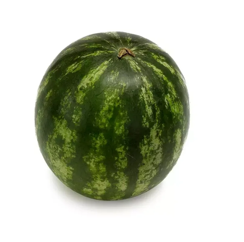 Wholesale Manufacturer and Supplier From Thailand Fresh sweet watermelon High Quality Cheap Price