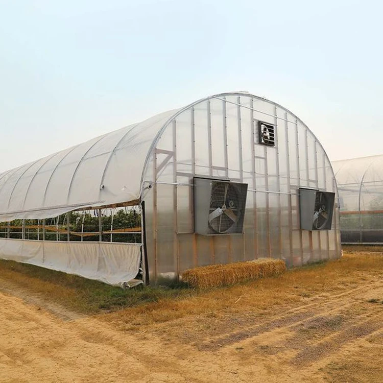 PC Board Greenhouse Single-span Arch Agricultural Polycarbonate Greenhouses For Sale
