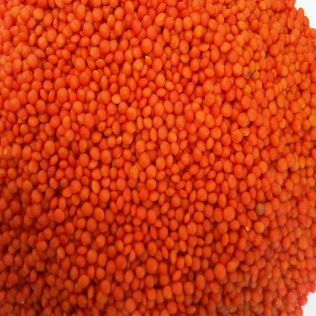 High Quality First Class Wholesale Product Red Lentils (1600568854550)