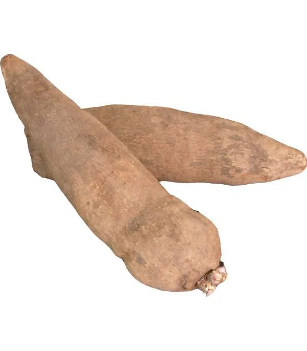Good Quality Organic Fresh Yams Delicious Wild Yam Available in Bulk Fresh Stock At Wholesale Price With Fast Delivery