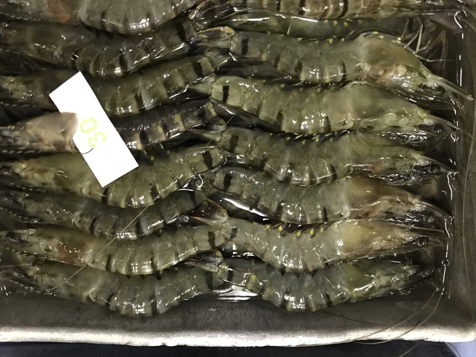 High Quality Black Tiger Hoso Vannamei Shrimp Best Price