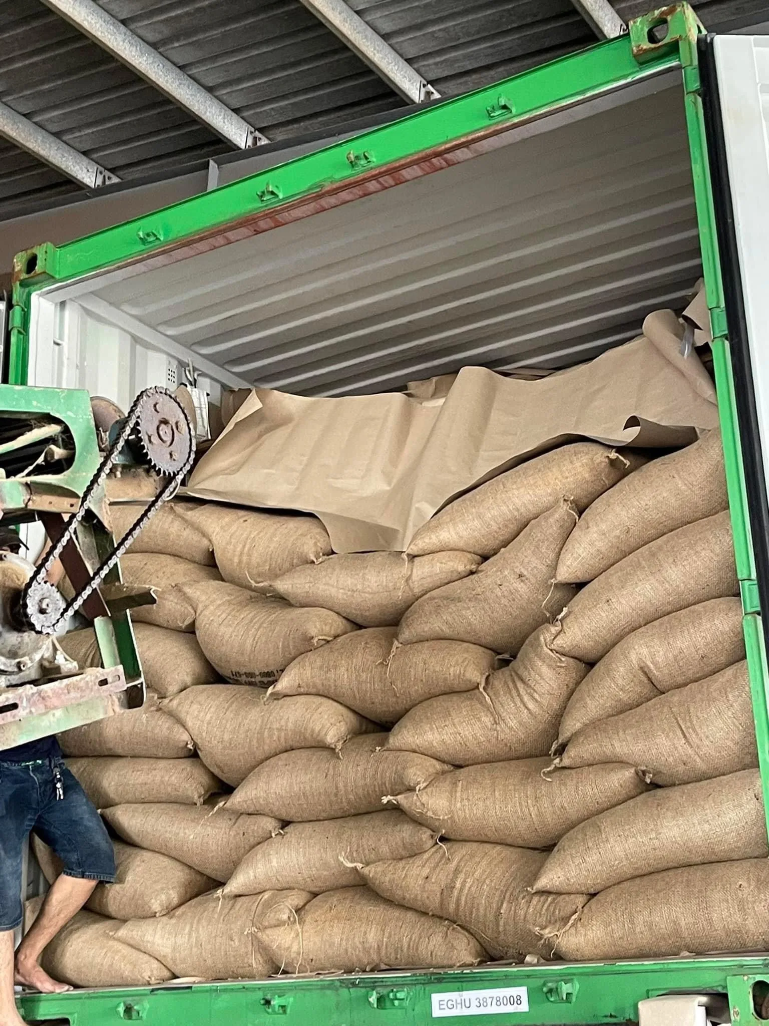 Robusta зеленый кофе в зернах влажный полированный экран S13 S16 S18 джутовой сумке-JANE LEE + 84968234538