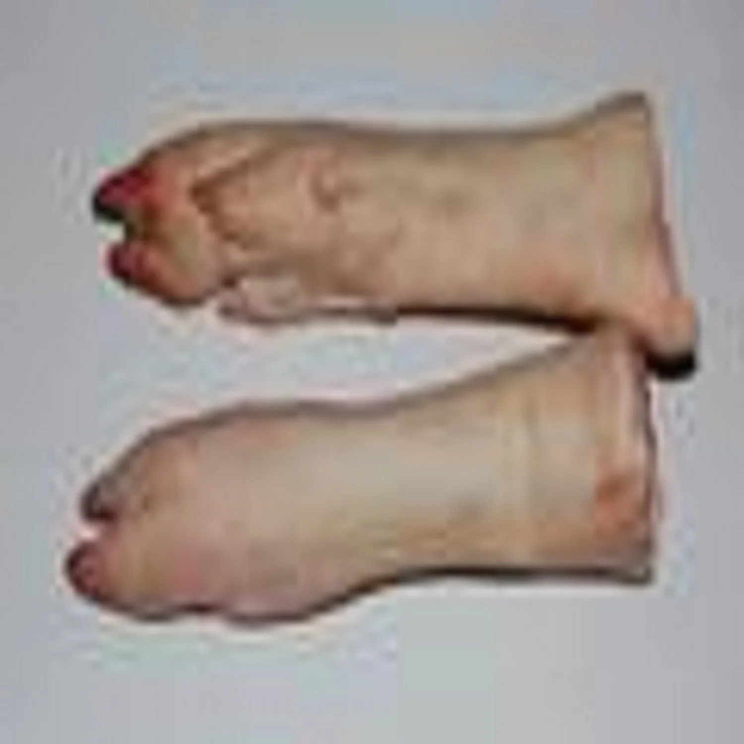 Bulk Top Quality Frozen Pork Meat / Frozen Pork