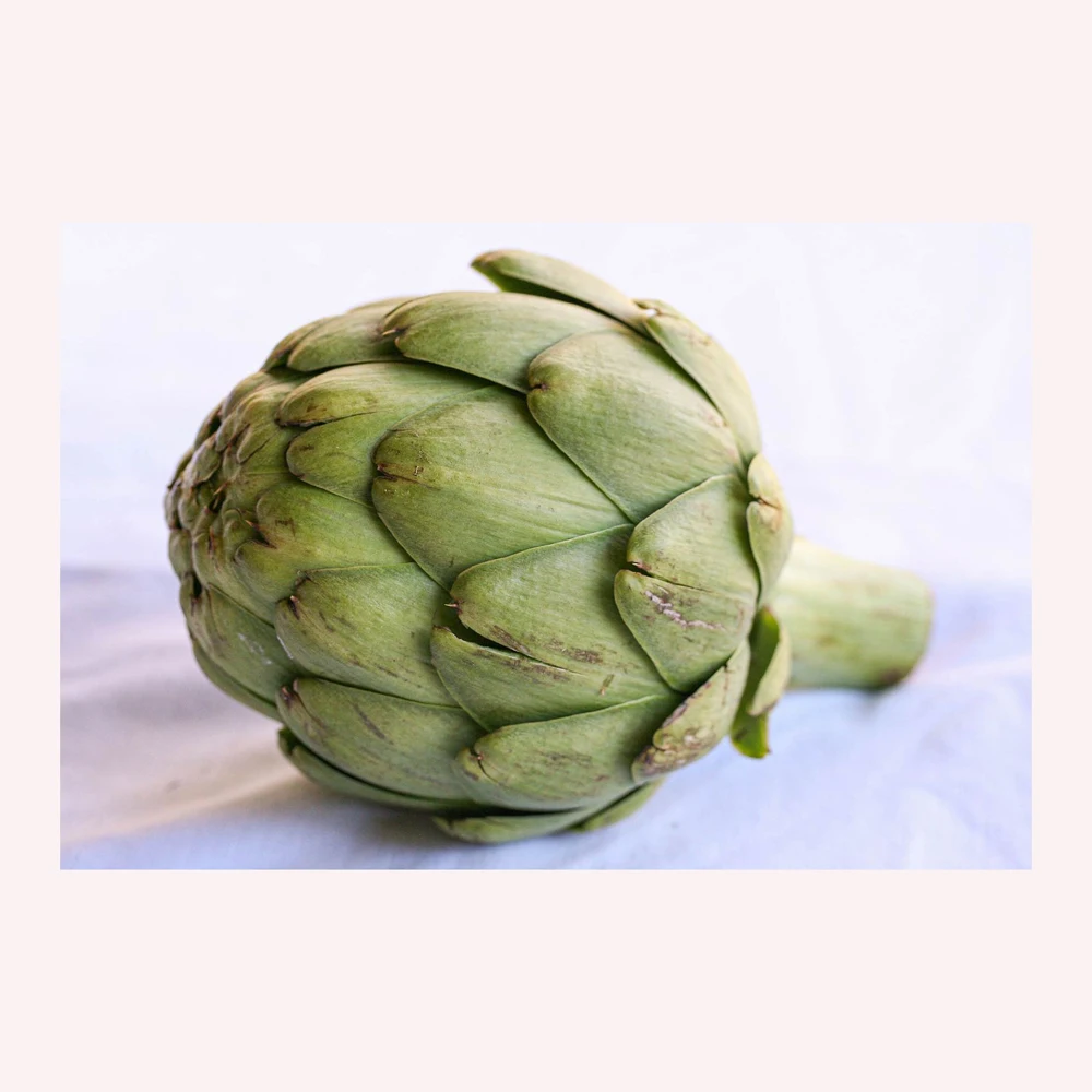 High Quality Artichoke Fresh Flower Grade artichoke tea - dried artichoke WITH BEST PRICE AND cheap price